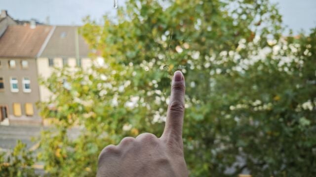 Finger zeigt auf Flecken auf Fensterscheibe
