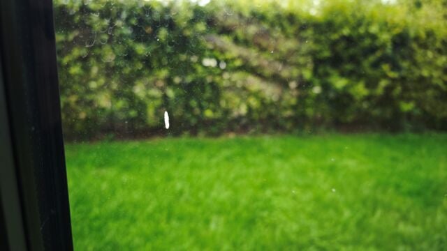 Vor der Reinigung sieht das Fenster sehr schmutzig aus. Es gibt auch Überreste von Insekten und Vögeln zu entfernen. schmutziges Fenster mit Sicht in einen Garten mit Hecke