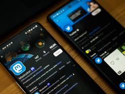 Chaos bei Twitter: Ist Mastodon eine Alternative? Wir haben es ausprobiert Chaos bei Twitter: Ist Mastodon eine Alternative? Wir haben es ausprobiert