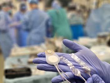 Eine Hand in einem chirurgischen Handschuh hält das Brain Interchange System von CorTec in einer medizinischen Umgebung.