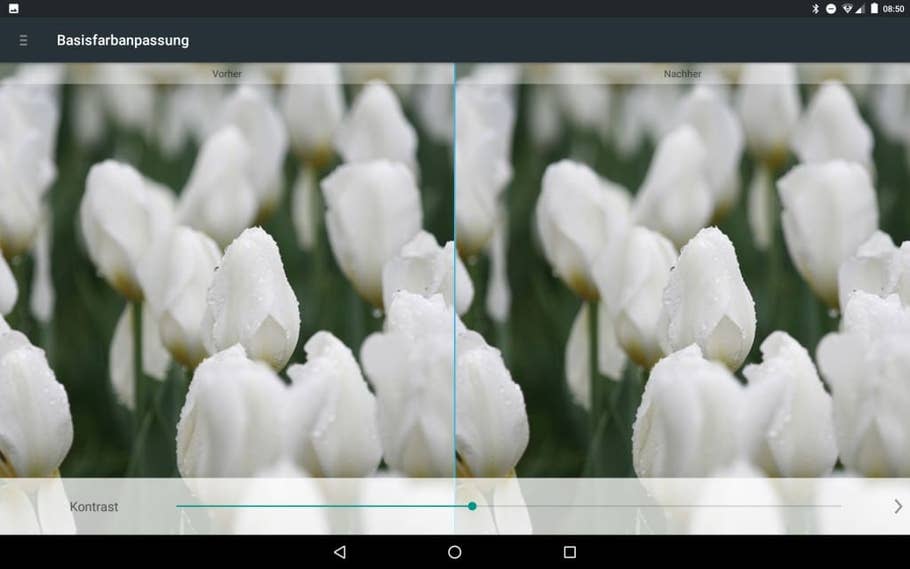 Die Display-Einstellungen des Medion LifeTab X10311