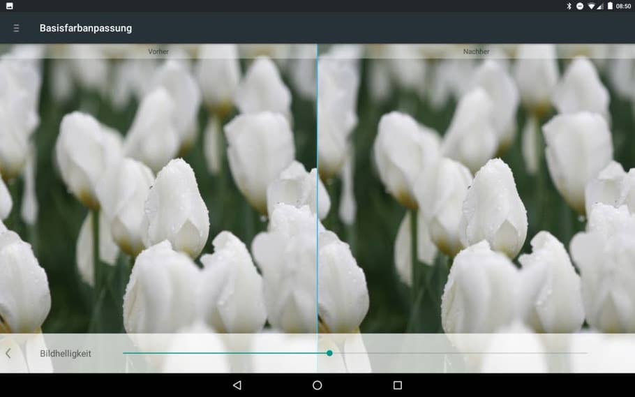 Die Display-Einstellungen des Medion LifeTab X10311
