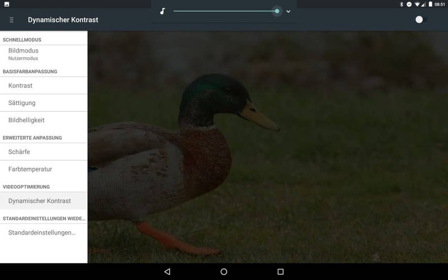 Die Display-Einstellungen des Medion LifeTab X10311