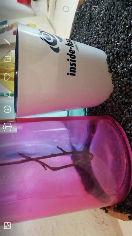 Die Kamera-App des Huawei Nova 2