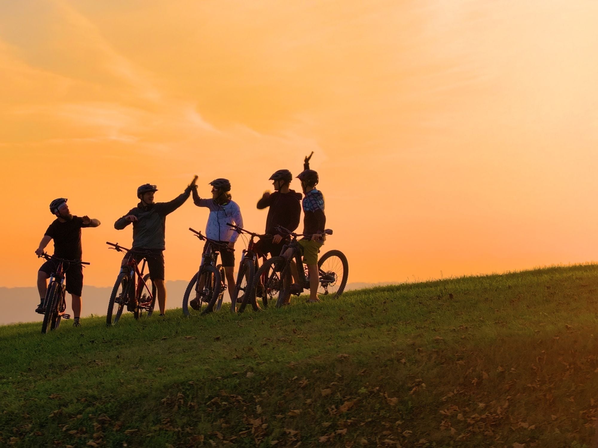 Diese-10-E-Bike-Marken-kaufen-alle-so-sicherst-du-dir-Top-Modelle-zum-halben-Preis