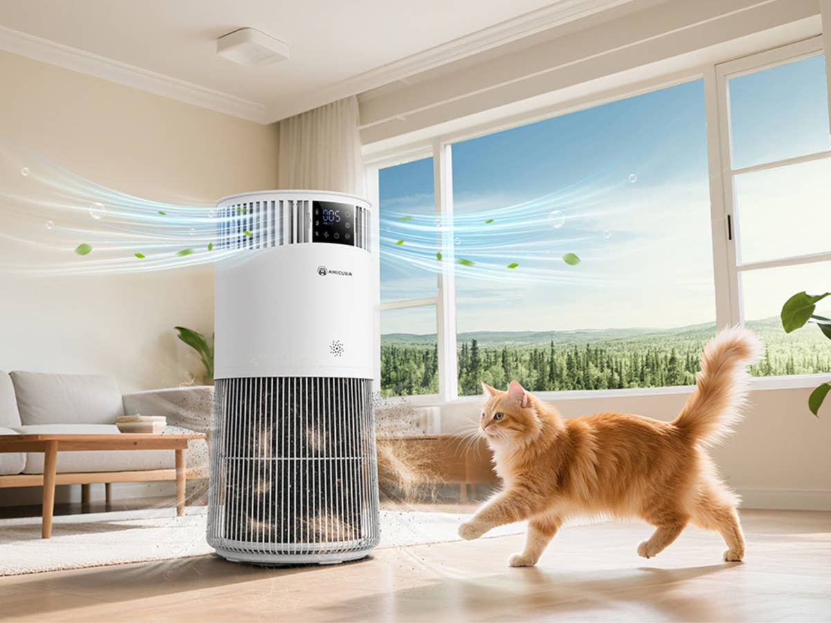Dieser Luftreiniger ist perfekt für Haustierbesitzer & am Prime Day jetzt deutlich günstiger