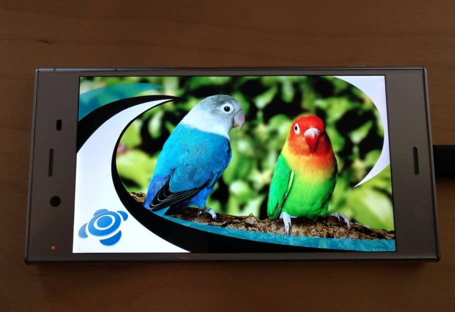 Display des Sony Xperia XZ1: Einstellungen und Blickwinkelstabilität