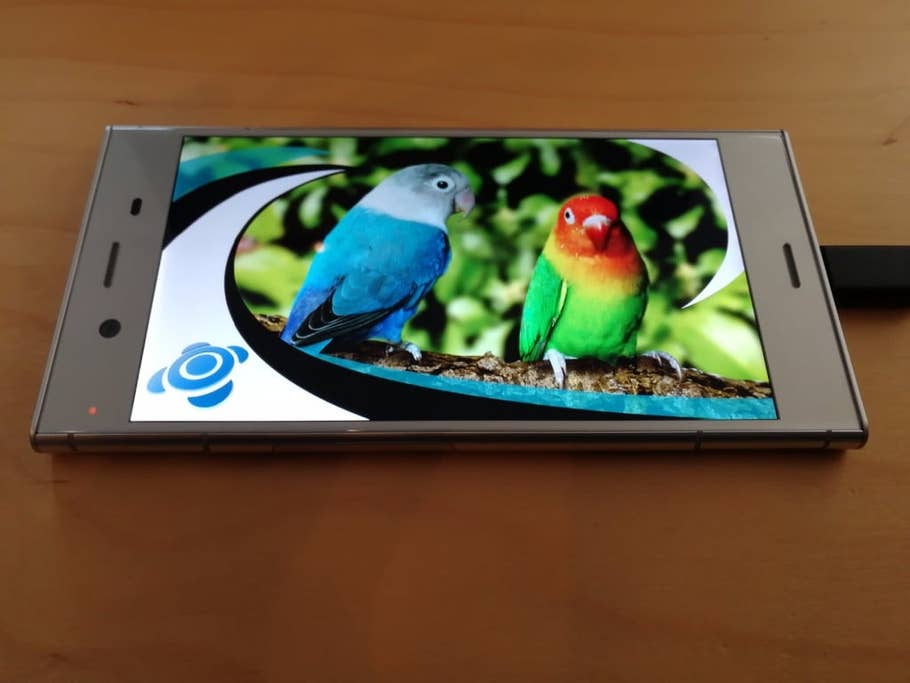 Display des Sony Xperia XZ1: Einstellungen und Blickwinkelstabilität