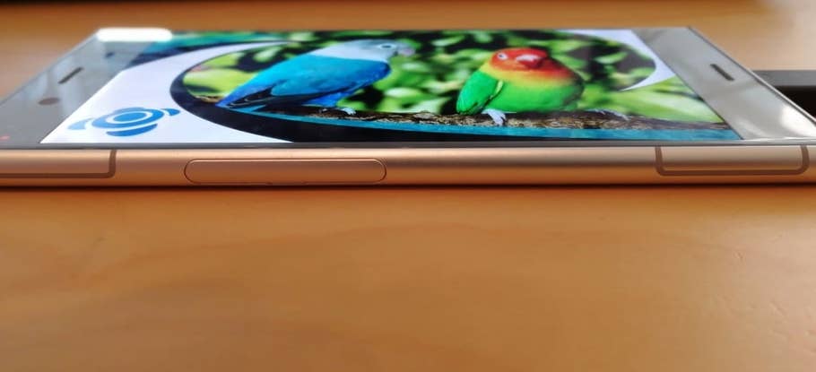 Display des Sony Xperia XZ1: Einstellungen und Blickwinkelstabilität