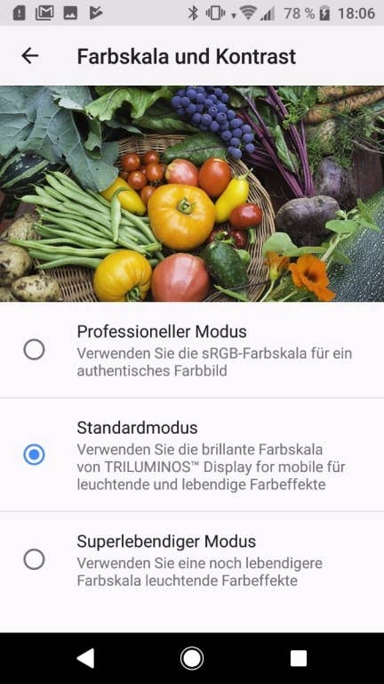 Display des Sony Xperia XZ1: Einstellungen und Blickwinkelstabilität