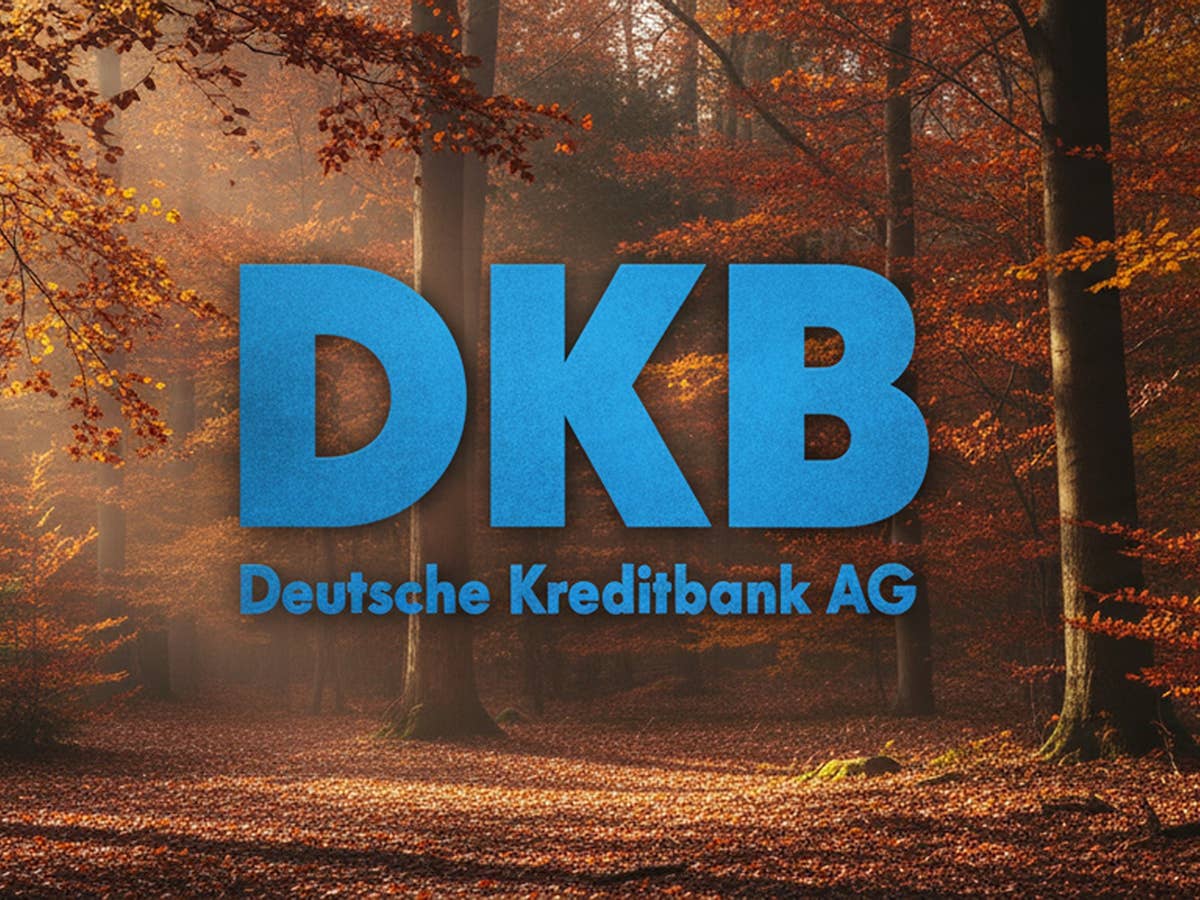 DKB belohnt Kunden mit starkem Zinsgeschenk DKB-Logo vor einem Herbstwald.