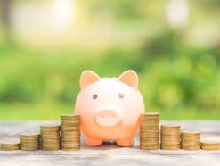 DKB steigt ins Wettrennen um hohe Festgeld-Zinsen ein Sparschwein steht zwischen Geldmünzen.