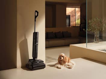 Dreame H15 Pro FoamWash in seiner Station, daneben ein Hund