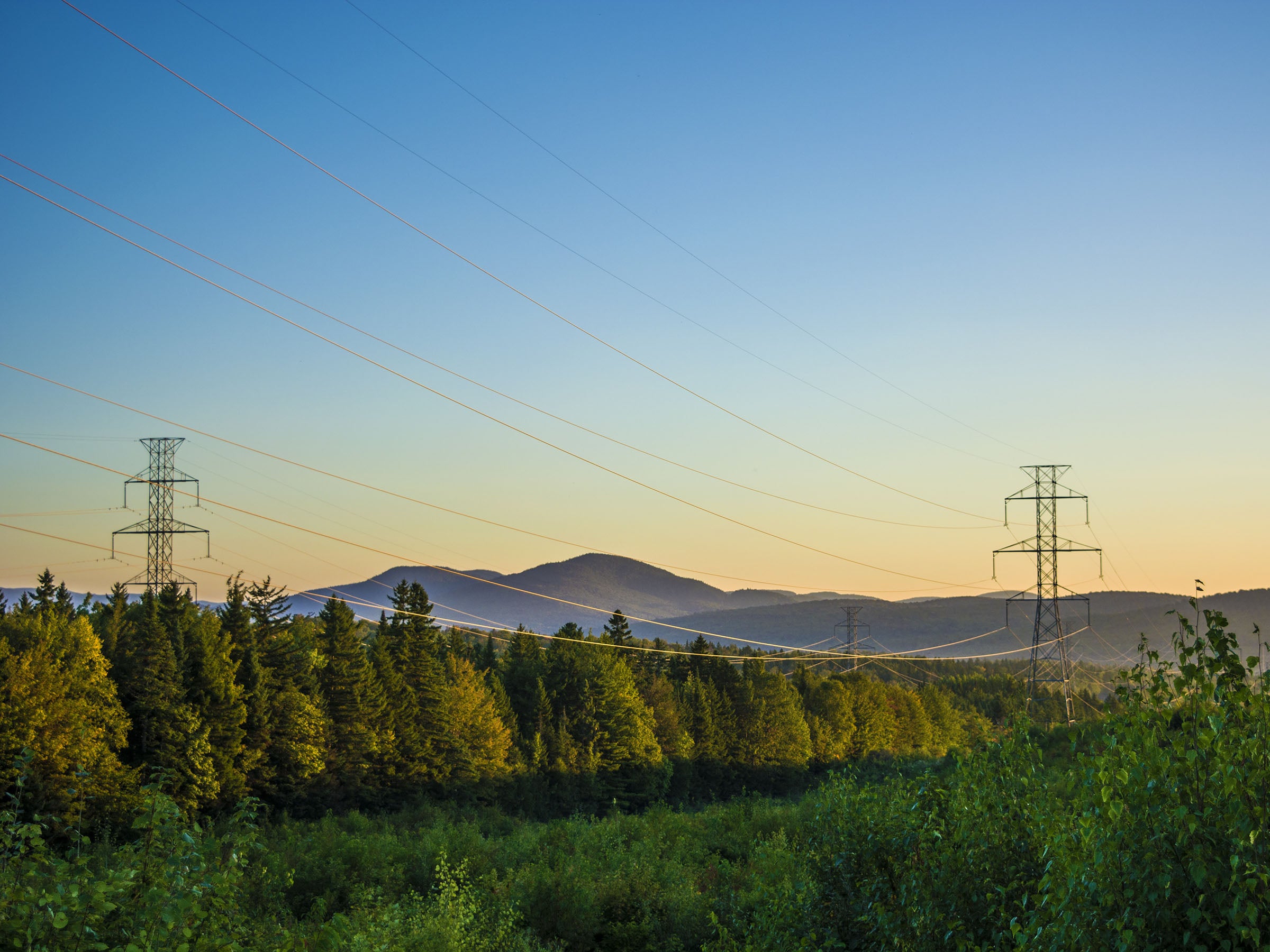 #Drei Lösungen für günstigen Strom: Netzbetreiber schließen sich zusammen
