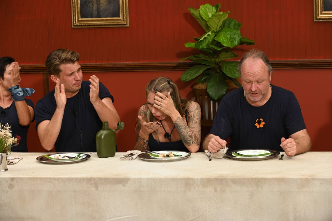 Die erste Prüfung im Dschungelcamp: "Dinner for twelve" - die gleiche Kotzedur, wie jedes Jahr"