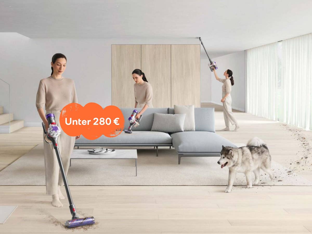 Jetzt nur noch 280 Euro: Starker Dyson-Sauger zum kleinen Preis