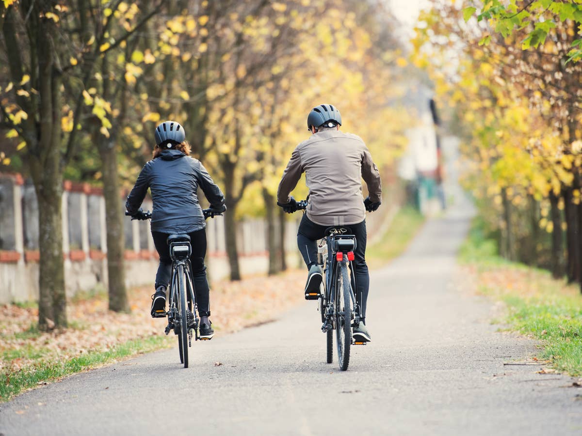 Elektrofahrrad