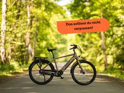 E-Bike Cityrad CX-290 von Adore