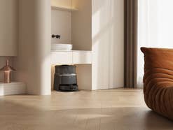 Ecovacs Saugroboter in Schwarz steht in einer Wohnung