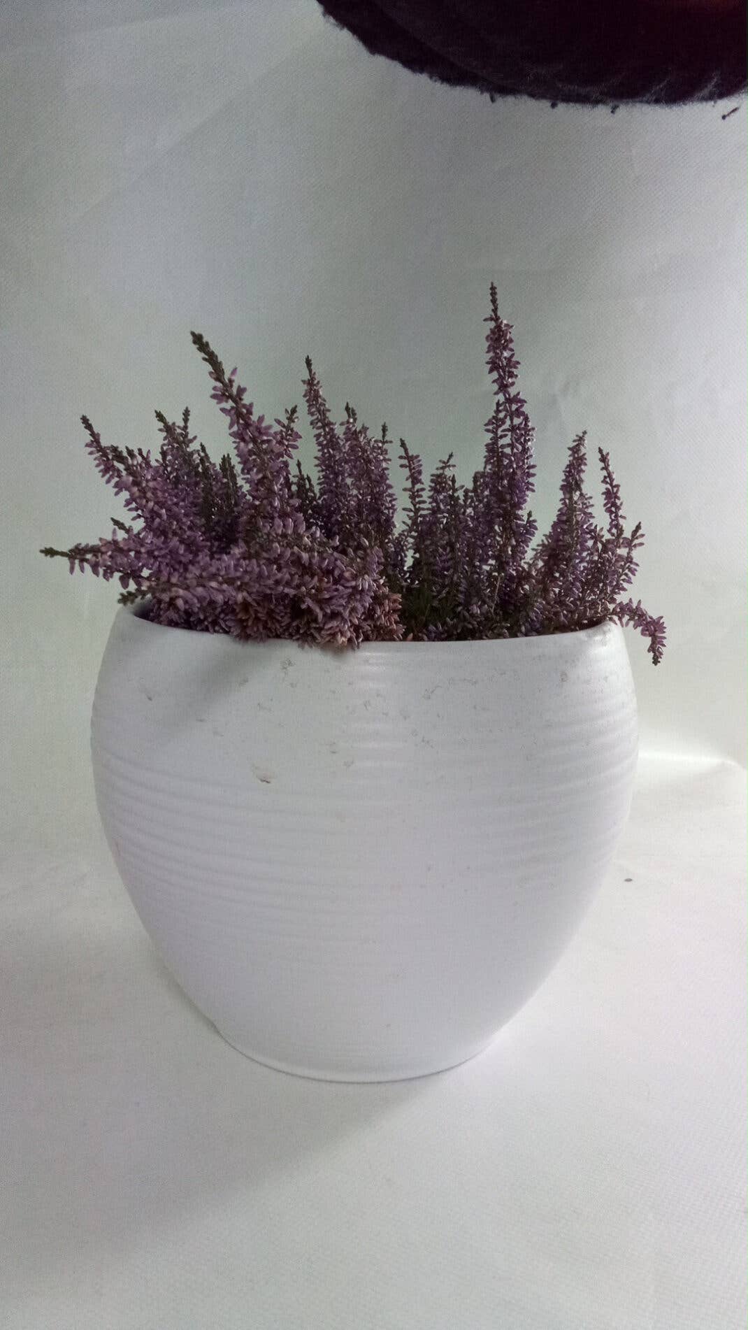 Emporia Smart7.Lite: Frontkamera