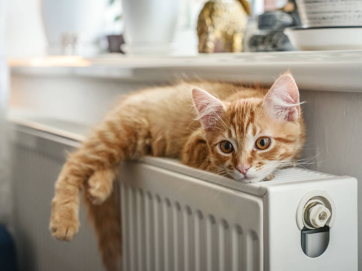 Es ist soweit - Jetzt nimmt die Regierung die Heizungsförderung ins Visier