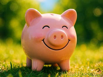 Sparschwein im Sonnenschein auf einer Wiese.