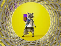 Waschbär Simon feiert den 3. Geburtstag von SIMon mobile in einem TV-Spot.