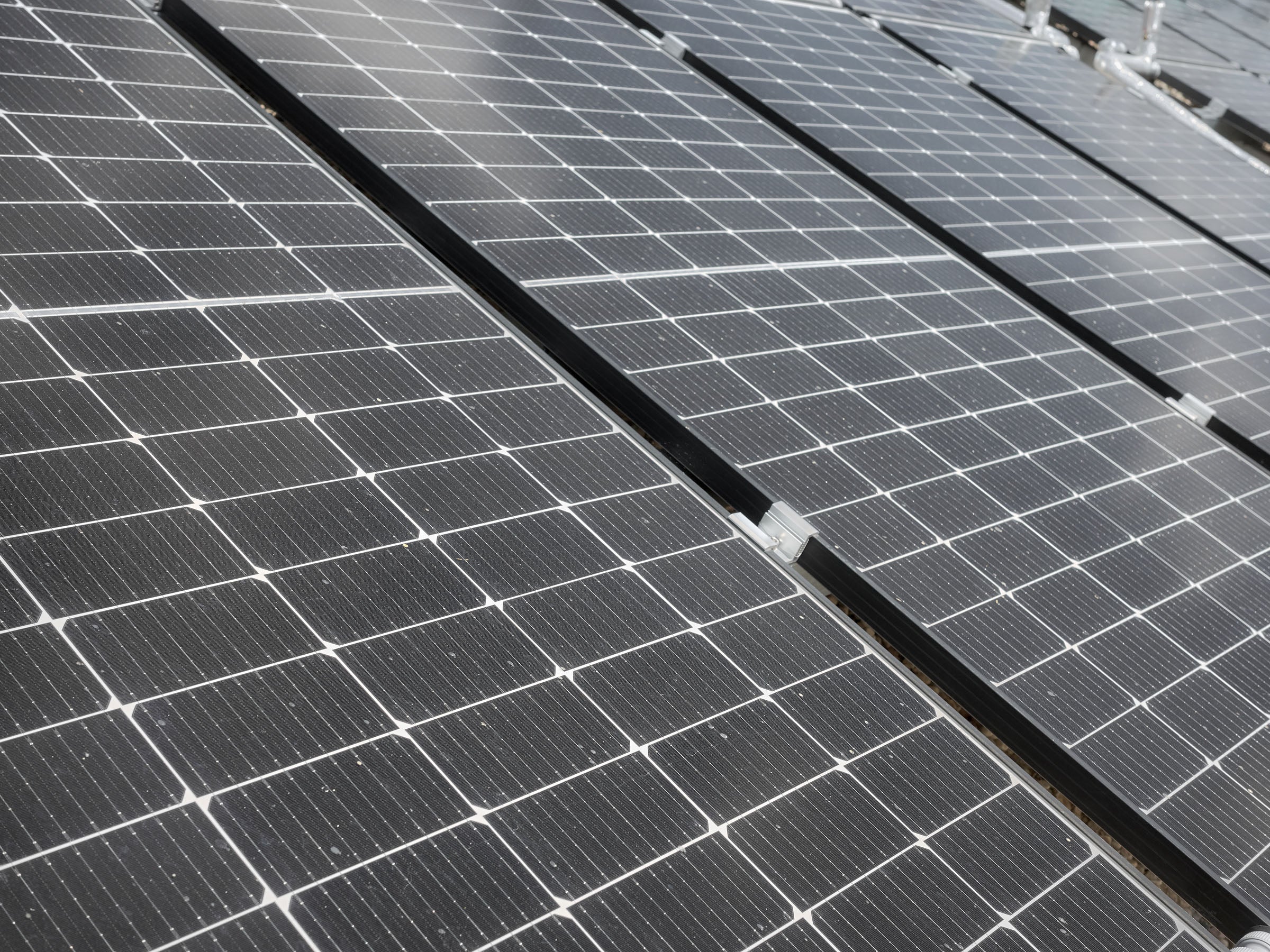 Firma stellt neue Solarmodule vor: Viermal nützlicher als der Standard? Firma stellt neue Solarmodule vor: Viermal nützlicher als der Standard?