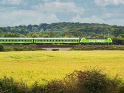 FlixTrain in der Seitenansicht vor einem Feld.