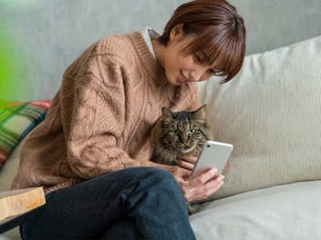 Frau mit Katze und Smartphone