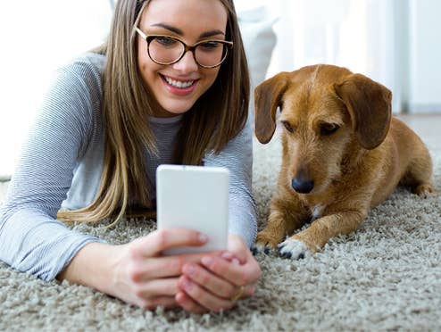 Frau mit Smartphone in der Hand und Hund neben ihr