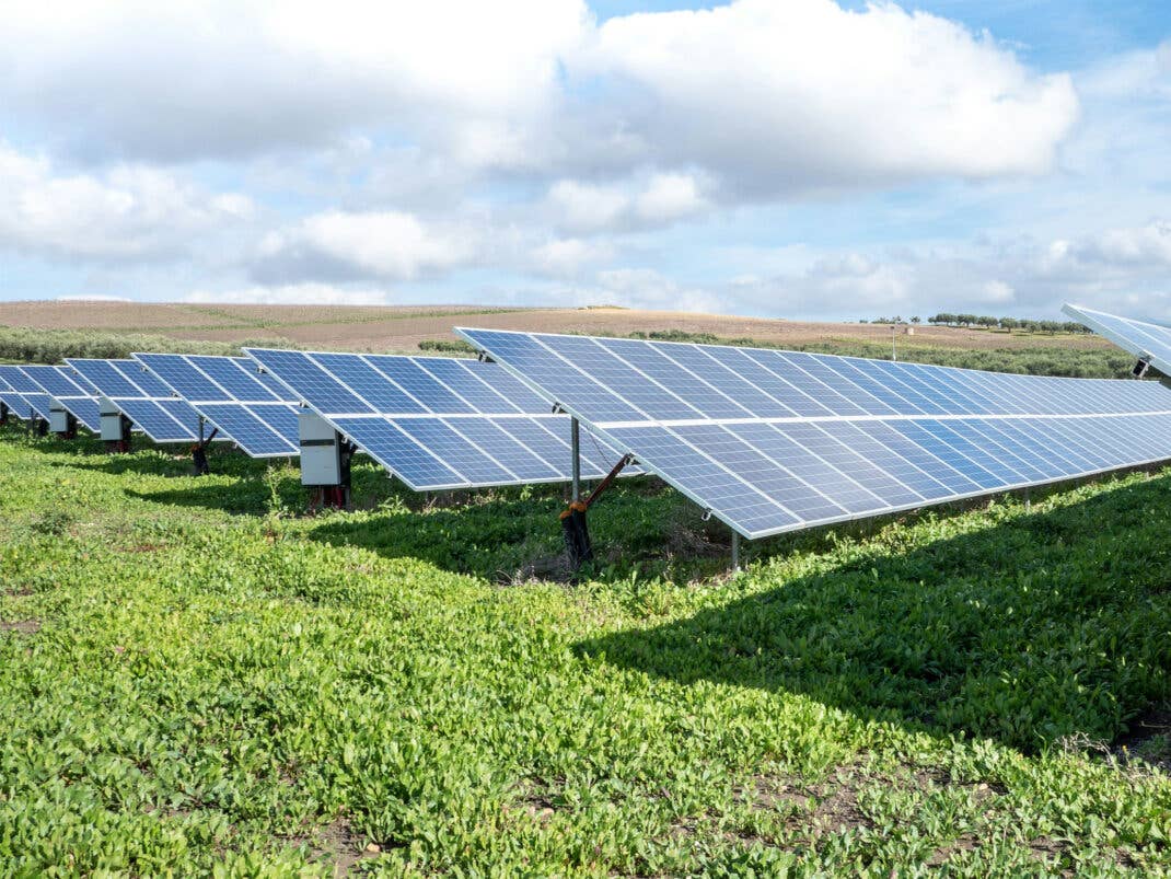 Freiflächen-Anlagen sind durch PV-Versicherung nicht geschützt