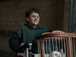 Dominic McLaughlin, Produktionsbild Harry Potter Serie