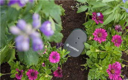 Gardena Smart Sensor im Beet
