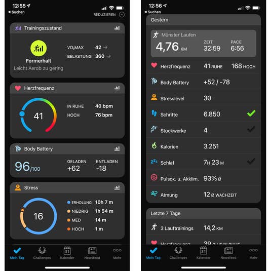 Garmin Connect App mit Informationen zum Tag