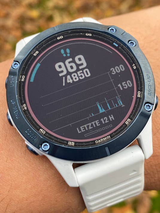 Garmin Fenix 6 Pro Schrittzähler