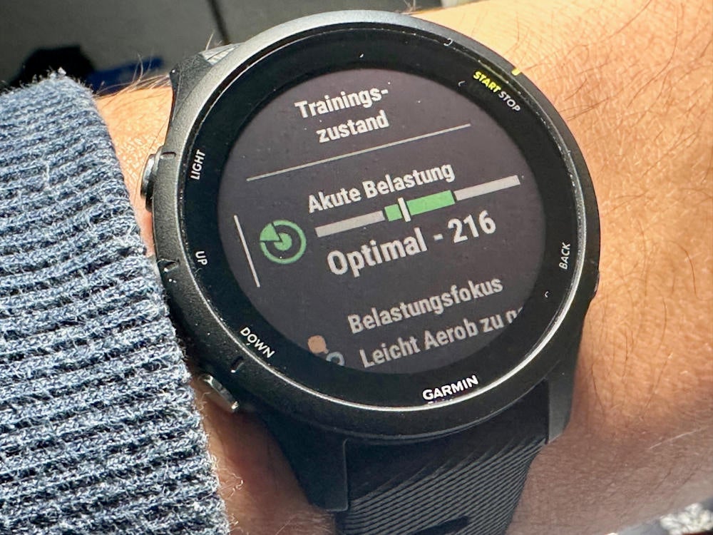 Anzeige zur akuten Belastung auf der Garmin Forerunner 255.