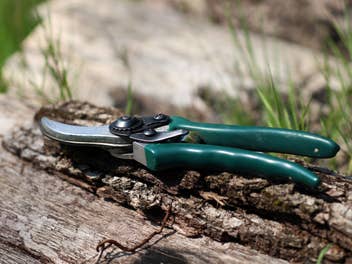 Deshalb wollen jetzt so viele diese 10-Euro-Gartenschere von Amazon