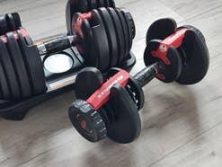 Bowflex Selecttech 552i