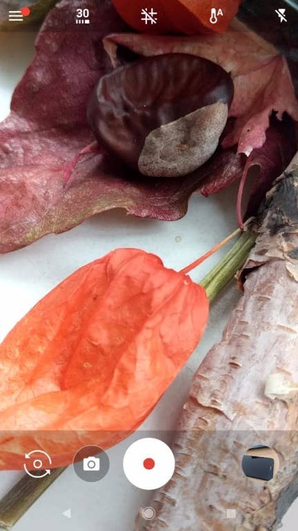 Google Pixel 2 im Test: Die Kamera-App