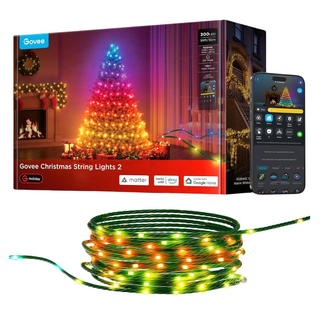 Govee Christmas String Lights 2