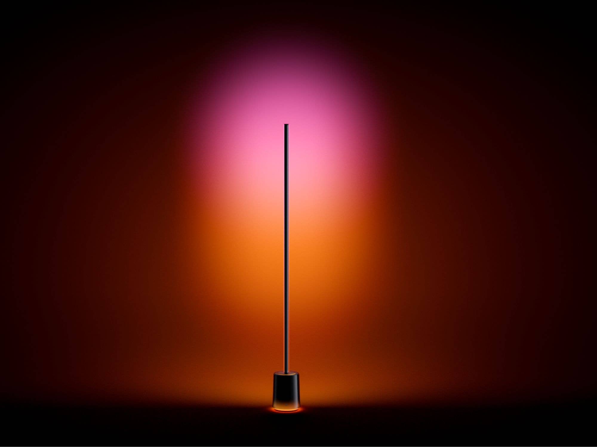 Govee Floor Lamp 3
