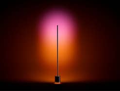 Govee Floor Lamp 3