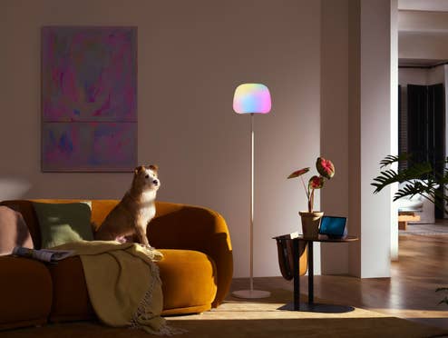 Was man vor dem Kauf einer smarten Stehlampe beachten sollte Govee Laternen Stehlampe, daneben ein Hund auf einer Couch