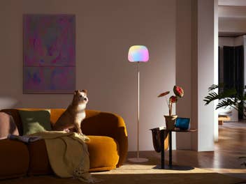 Govee Laternen Stehlampe, daneben ein Hund auf einer Couch