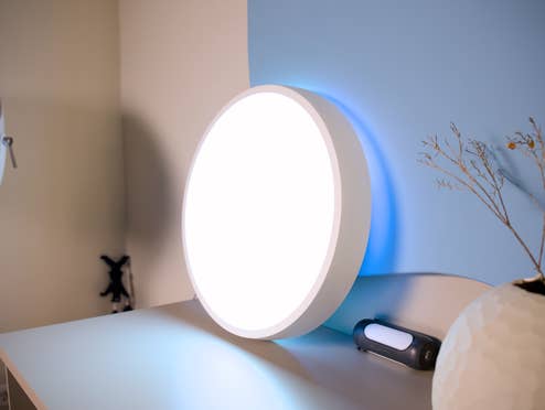 Govee Sky Ceiling Light