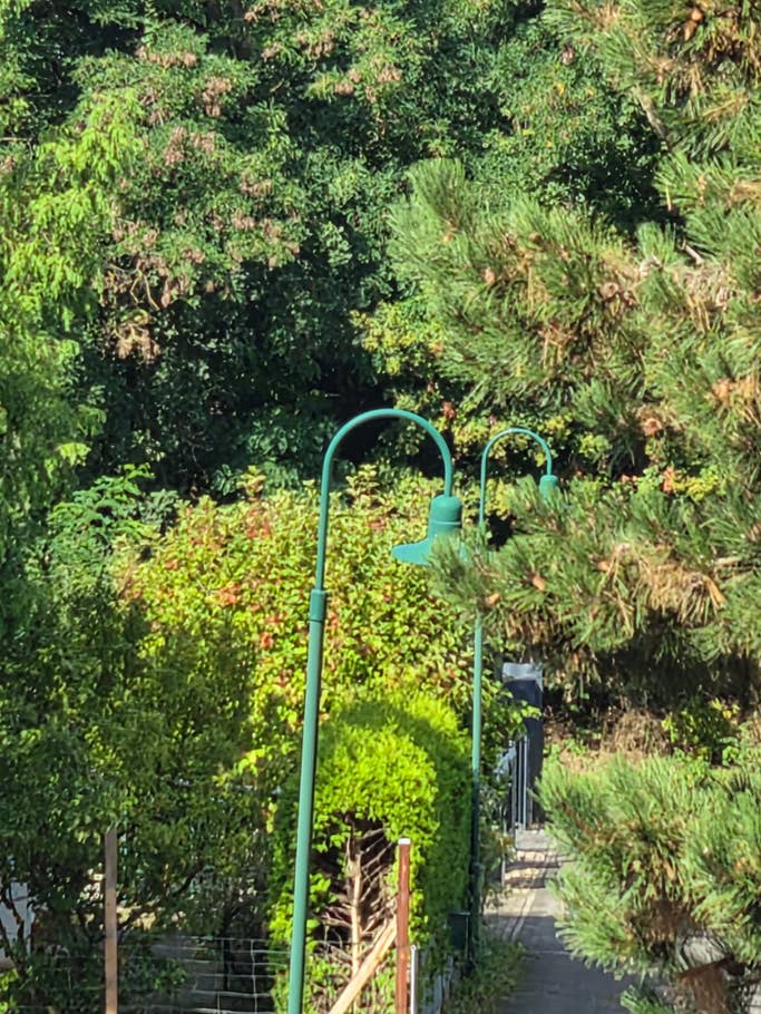 Hauptkamera 10x Zoom Hauptkamera 10x Zoom
