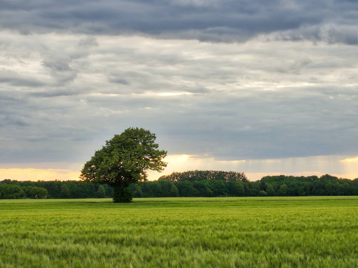HDR-Fotografie mit der Kamera HDR, Kamera