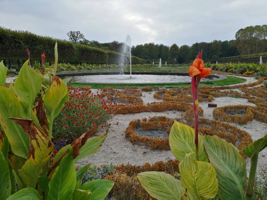 Parkansicht mit Fokus auf Vordergrund-Blume