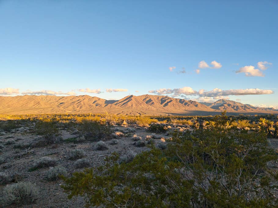 Ein Testfoto mit dem Honor Magic8 Pro (Hauptkamera)